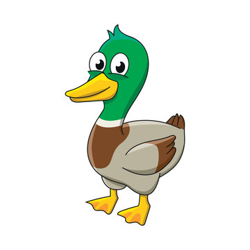 Duck. Cartoon illustration. Farm domestic animal