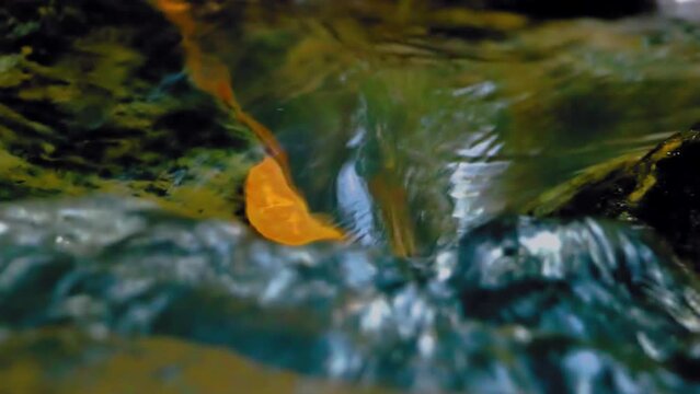 water flowing over a stone, sunlight reflecting in the water, aquatic plant roots inside water stock video