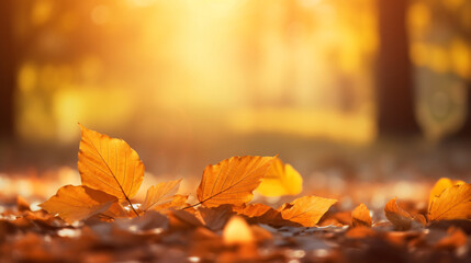 Naklejka na ściany i meble Autumn alley with beautiful golden colors and leaves / foliage.Generative AI