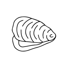 Hand drawn vector illustration of mussel.