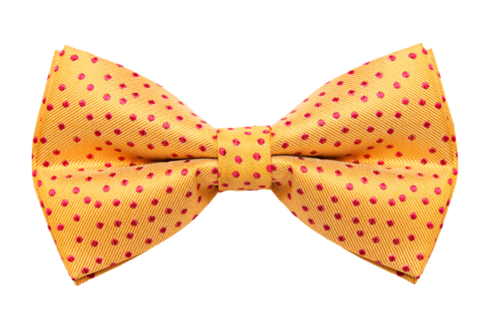 Funky polka dotted bow tie, png file with no background