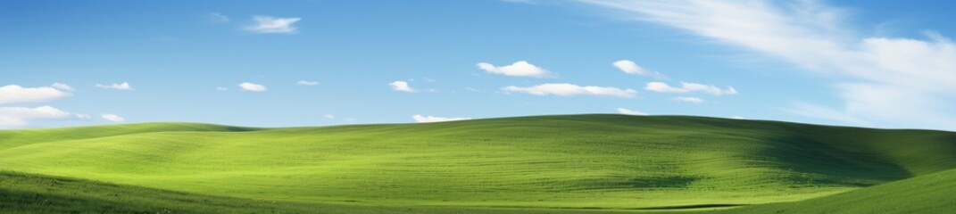 Fototapeta premium landscape with green grass and blue sky