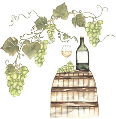 Green grapes field landscape, harvest and wine bottle. Watercolor hand painted grapes and wooden barel. Italian vinery concept design. French wine illustration. Autumn fruits harvest clipart.