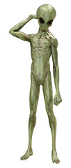 3D Rendering Green Alien on White