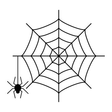 ハロウィン　蜘蛛の巣とクモの糸