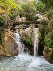 waterfall in the forest