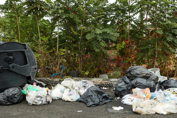 Garbage-contaminated territory near the dump, near the park