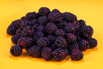 blackberries photographed in the studio isolated on the background