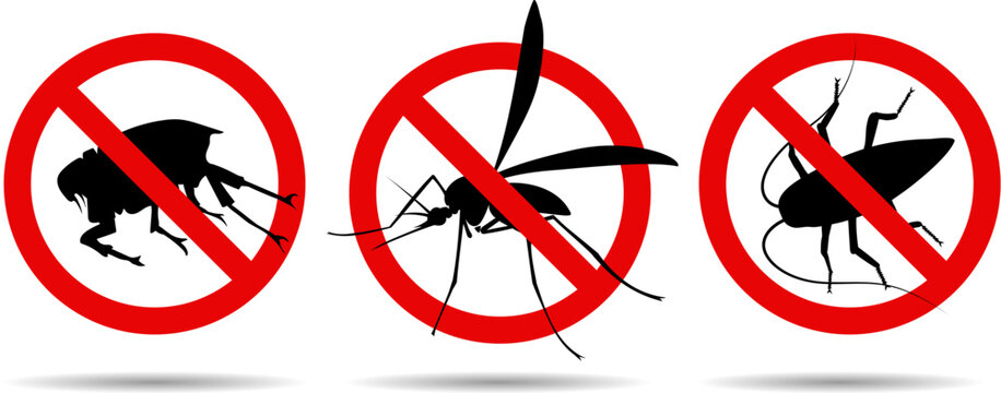 Mosquito cockroach flea warning signs