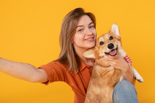 Friendship concept. Happy european woman taking selfie with her cute corgi dog, looking and smiling at camera over yellow studio background wall, closeup