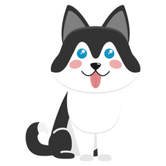 Cute dog of the Husky breed. Illustration on transparent background
