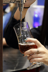 bartender serving beer from draft tap