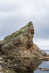 Rock in the sea at low tide 