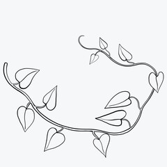 Floral ivy drawing decorative ornament flat design.