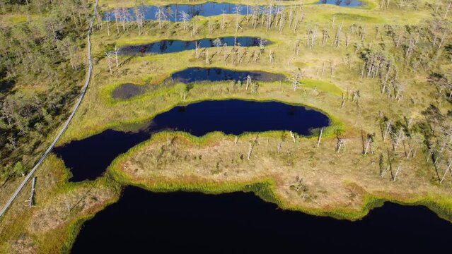 Top view on Viru bog in Lahemaa National Park