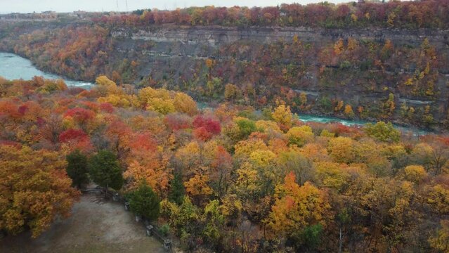 Spectacular Aerial Fall Colors Of Niagara Glen To Reveal Fast Flowing Niagara River