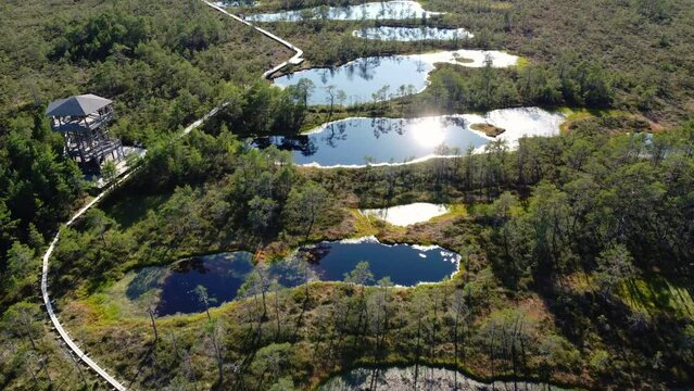 Aerial view of Viru Raba swamp lake in Estonia