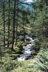 Obraz premium Wilder Bach in Tirol