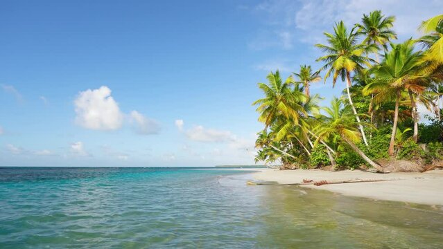 Amazing white sand beach and turquoise sea water background. Caribbean beach and sky. Tall palm trees on the wild big beach of the island. Summer holidays in beautiful nature. Azure sea.