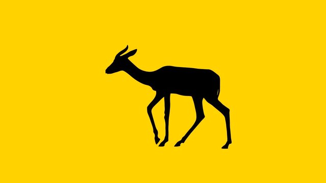 Walking Mhorr gazelle, animation on the yellow background (seamless loop)