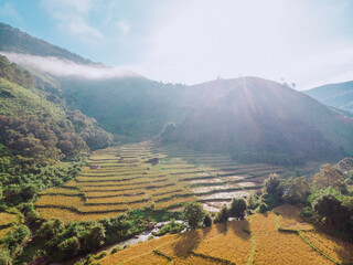 The terraced rice fields of the K'ho ethnic people in a sunny morning, the sun shines through the pine trees