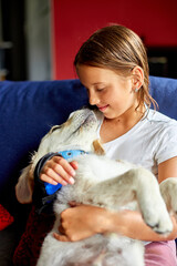 Happy teenage girl lying on sofa and embracing her puppy golden retriever pet, Love domestic animals, Friends at home