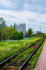 Fototapeta premium railway in the countryside