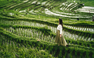 Amazing view of walking girl on rice terrace with water. Stylish girl admiring rice plantation