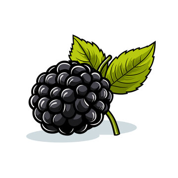 black blackberry fruit with green leaves clip art preview