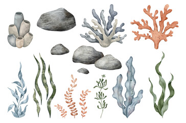 Set of Sea Pebbles, marine coral, seaweed algae. Hand drawn watercolor illustration. Marine, tropical collection for souvenir, posters, sticker, printing, banner - obrazy, fototapety, plakaty