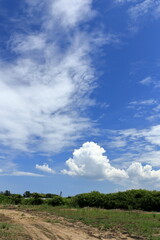 Fototapeta premium 青空が広がる夏の空と入道雲