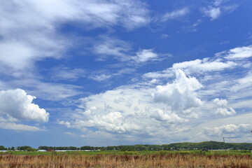 青空が広がる夏の空と入道雲