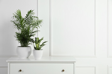 Different houseplants in pots on chest of drawers near white wall, space for text