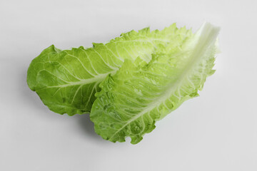 Fototapeta na wymiar Fresh green leaves of romaine lettuce on white background