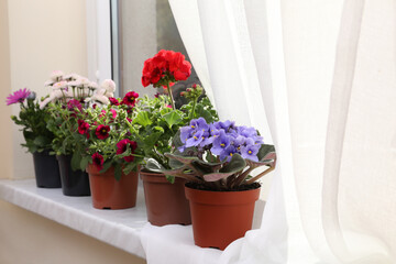 Fototapeta na wymiar Different beautiful potted flowers on windowsill indoors