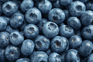Tasty fresh blueberries as background, top view