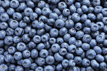 Tasty fresh blueberries as background, top view