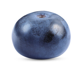 One ripe tasty blueberry isolated on white