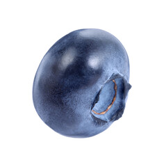 One fresh ripe blueberry isolated on white