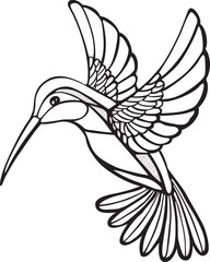 hummingbird 