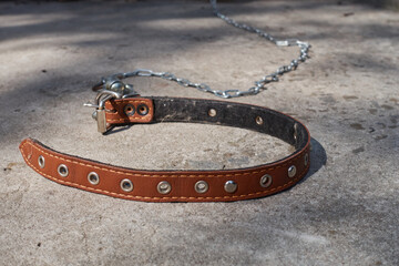 A brown leather collar rests on the concrete floor. The collar has adjustment holes and rivets for reinforcement.