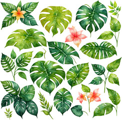 Set of Tropical Botanical Floral Leaf Watercolor Illustrations, Isolated on Transparent Background for Design Elements. AI Generetive.