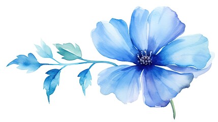 Delicate blue watercolor flower on a white background. 
