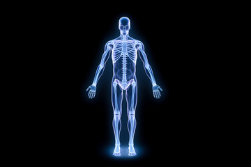 Full human body in x-ray format.