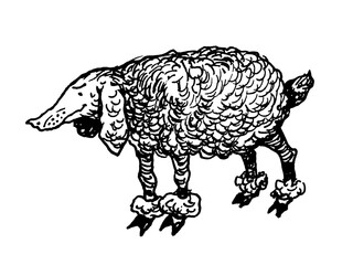 Poodle sheep vector print black and white animals funny cartoon fantasy
flat vintage