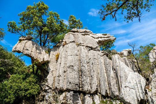 Es Camell exokarst formation, a striking stone camel-shaped figure sculpted by erosion in the mesmerizing Karst landscape of Mallorca, an extraordinary geological wonder hidden amidst lush greenery.