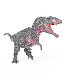 Fototapeta premium giganotosaurus is running on white background