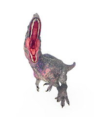 giganotosaurus is trying to jump on white background © DM7