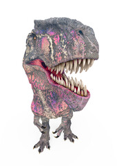 giganotosaurus id portrait on white background © DM7