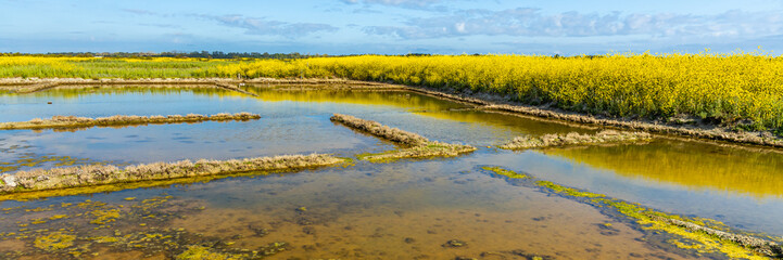 Mud flat of the natural reserve of Lilleau des Niges on the Ile de Ré island in France